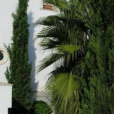 Lodi Lejlighedshotel 3*